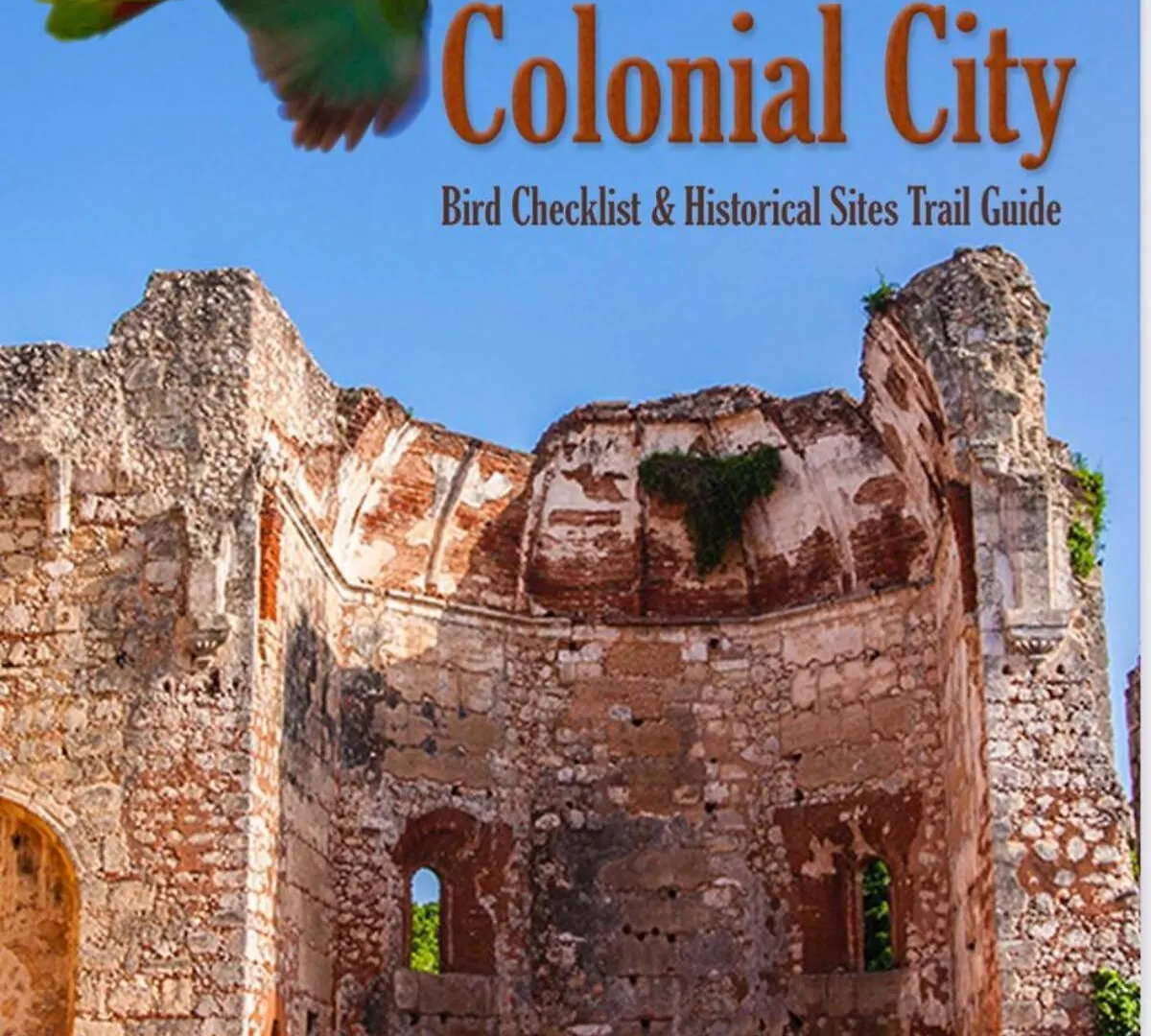 Unique Two-Level Penthouse In The Historical Area Apartment Santo Domingo Dominican Republic