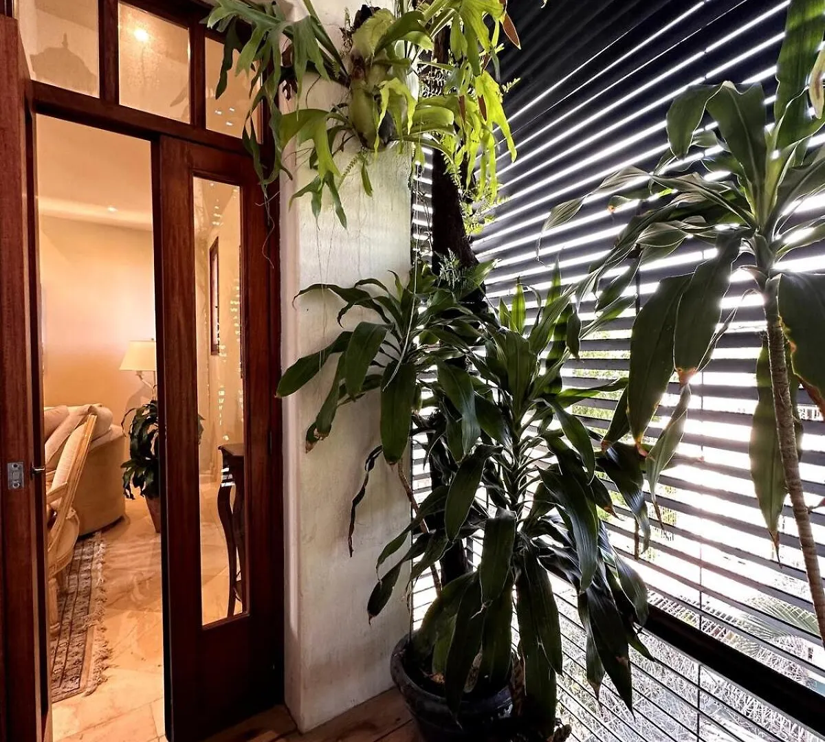Unique Two-Level Penthouse In The Historical Area Apartment Santo Domingo