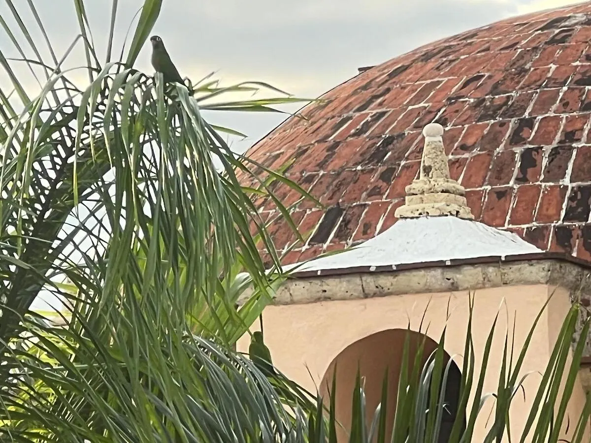 Unique Two-Level Penthouse In The Historical Area Apartment Santo Domingo