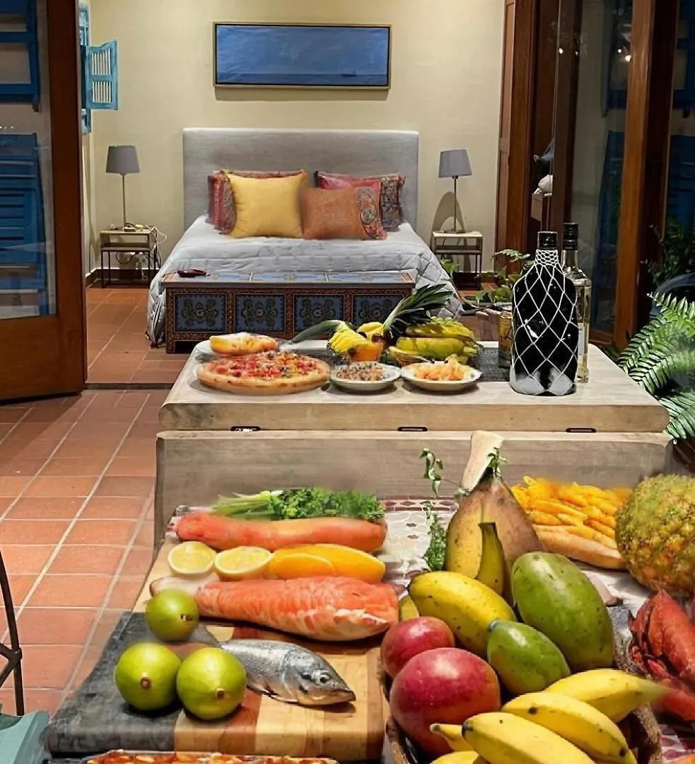 Unique Two-Level Penthouse In The Historical Area Apartment Santo Domingo